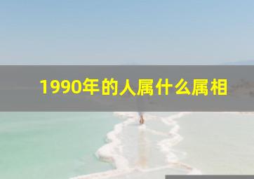 1990年的人属什么属相