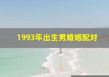 1993年出生男婚姻配对