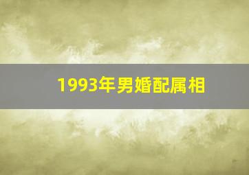 1993年男婚配属相