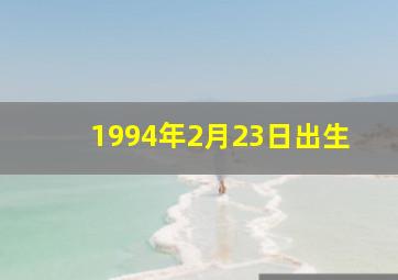 1994年2月23日出生