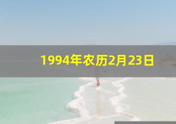 1994年农历2月23日