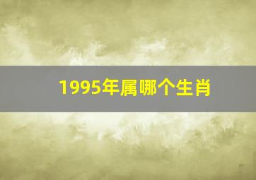 1995年属哪个生肖