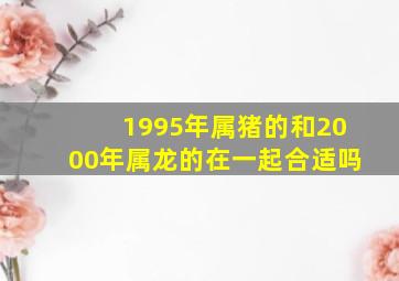 1995年属猪的和2000年属龙的在一起合适吗