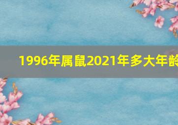 1996年属鼠2021年多大年龄