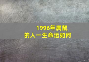 1996年属鼠的人一生命运如何