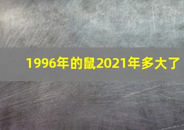 1996年的鼠2021年多大了