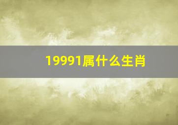 19991属什么生肖