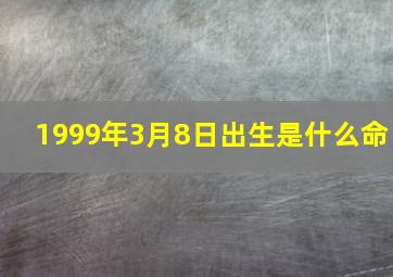 1999年3月8日出生是什么命