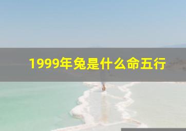 1999年兔是什么命五行