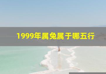 1999年属兔属于哪五行