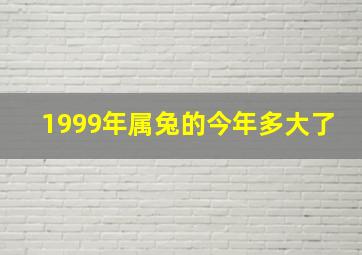 1999年属兔的今年多大了