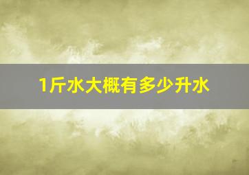 1斤水大概有多少升水