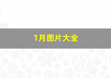 1月图片大全