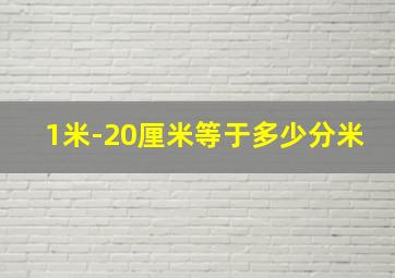 1米-20厘米等于多少分米