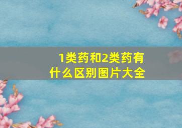 1类药和2类药有什么区别图片大全