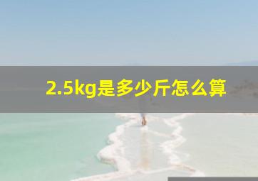 2.5kg是多少斤怎么算