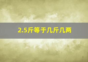 2.5斤等于几斤几两