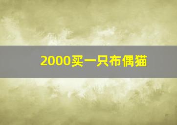 2000买一只布偶猫