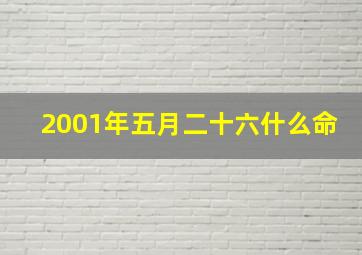 2001年五月二十六什么命