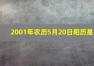 2001年农历5月20日阳历是