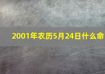 2001年农历5月24日什么命