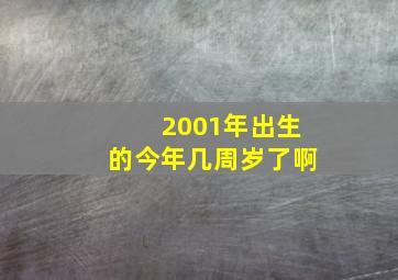 2001年出生的今年几周岁了啊