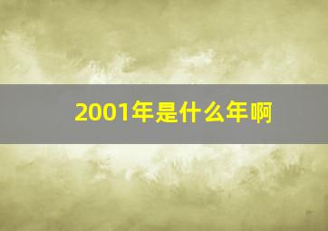 2001年是什么年啊