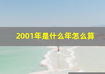 2001年是什么年怎么算