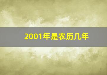 2001年是农历几年