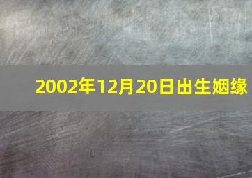 2002年12月20日出生姻缘