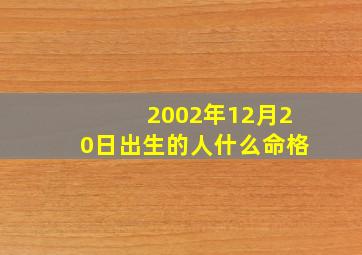 2002年12月20日出生的人什么命格