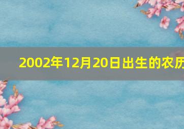 2002年12月20日出生的农历