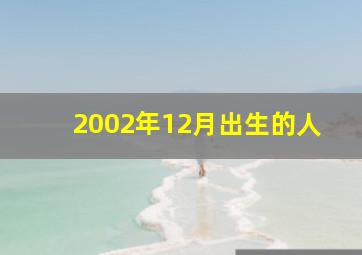 2002年12月出生的人