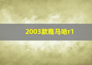 2003款雅马哈r1