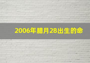 2006年腊月28出生的命