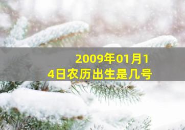 2009年01月14日农历出生是几号