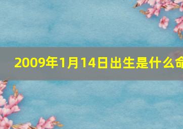 2009年1月14日出生是什么命