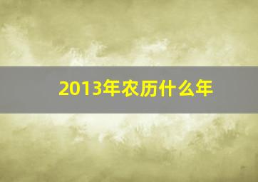 2013年农历什么年