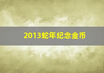 2013蛇年纪念金币