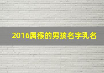 2016属猴的男孩名字乳名