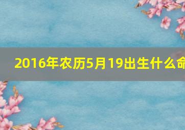 2016年农历5月19出生什么命