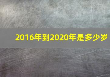 2016年到2020年是多少岁