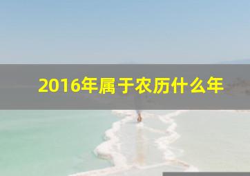 2016年属于农历什么年