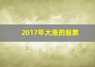 2017年大涨的股票