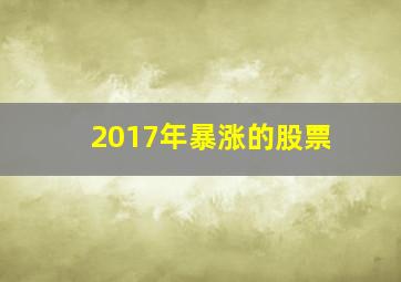 2017年暴涨的股票