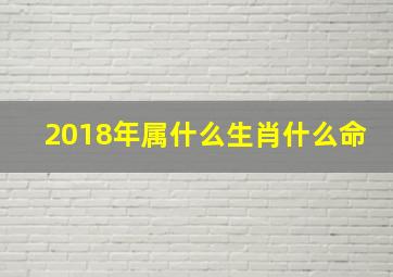 2018年属什么生肖什么命