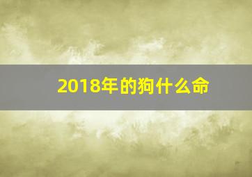 2018年的狗什么命