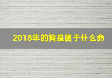 2018年的狗是属于什么命