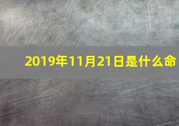 2019年11月21日是什么命