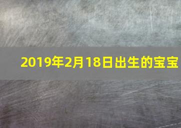 2019年2月18日出生的宝宝